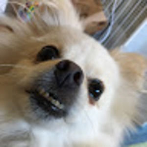 Meet your Posher, Jasmine